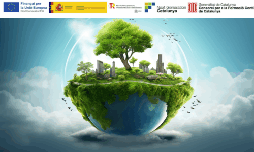 miniatura del curso