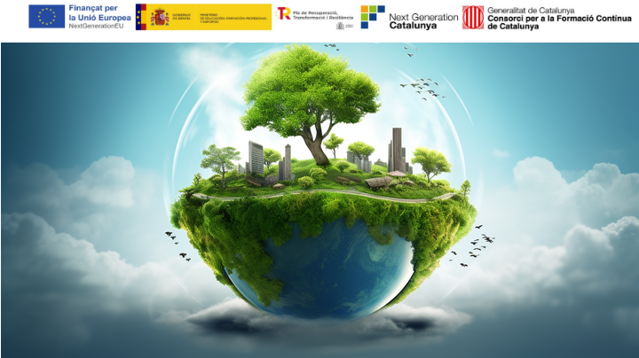 miniatura del curso